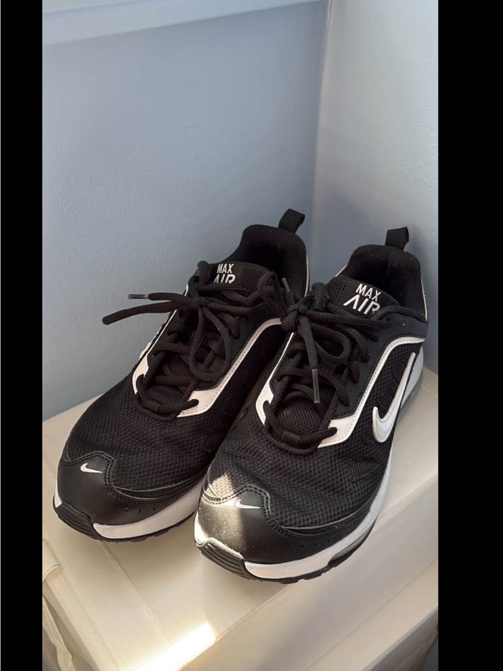 Nike Black and White Max Air Sneakers